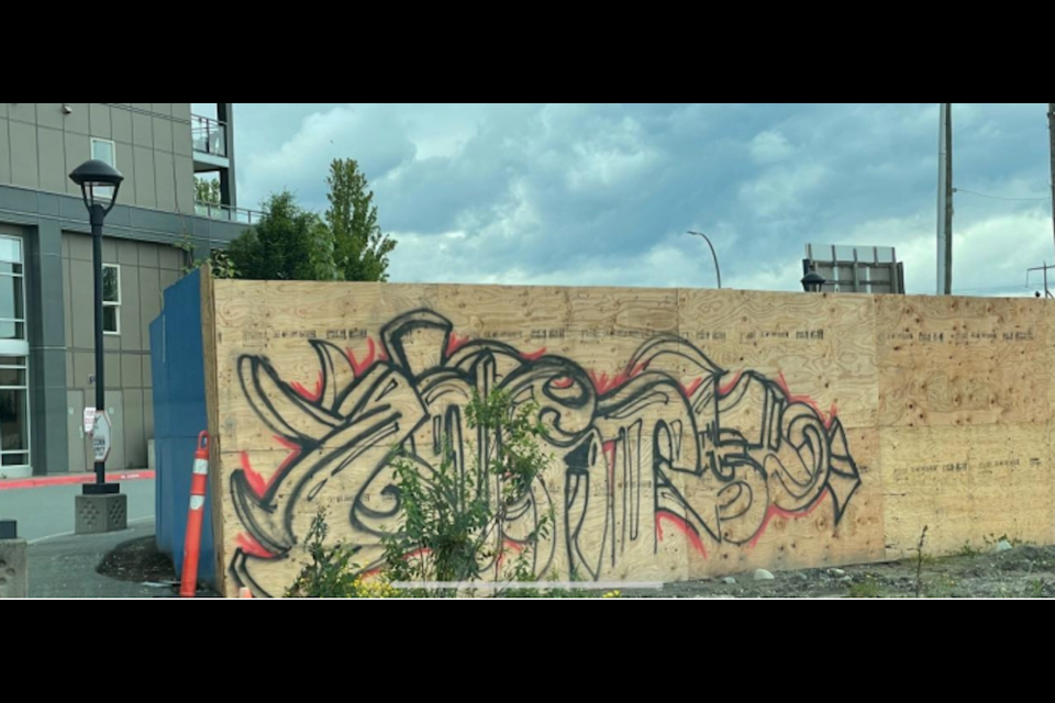 Graffiti is becoming a problem in Port Coquitlam, city says.