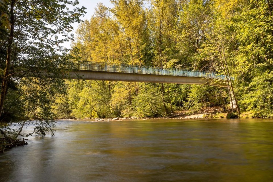 mcallister-footbridge-scenic-shot-city-of-port-coquitlam