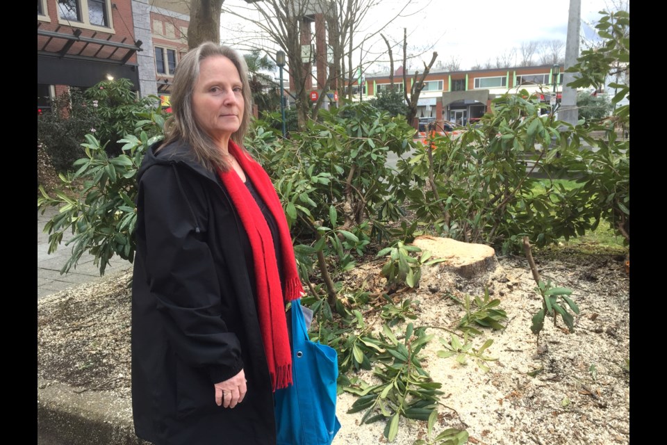 Caron Graham examines a tree trunk left behind after a large tree was cut down in Veterans Park in  Port Coquitlam.