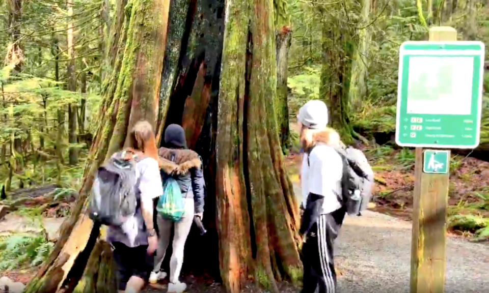 Suwa'lkh School Forest Field Trip Coquitlam School District