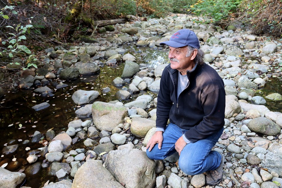 Dave Bennie kneels in the dried-out bed of Noon's Creek that is more boulders than water after weeks of drought that's preventing salmon from getting upstream to spawn.