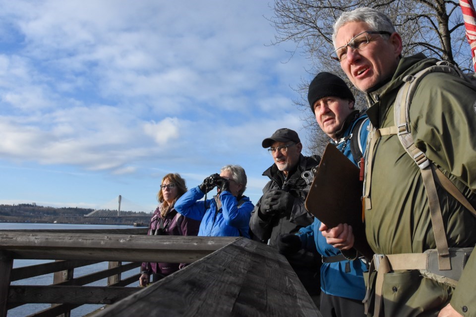 A group of Burke Mountain Naturalists led by Ian MacArthur (right), look for water birds along the Pitt River during the 2020 Christmas Bird Count.