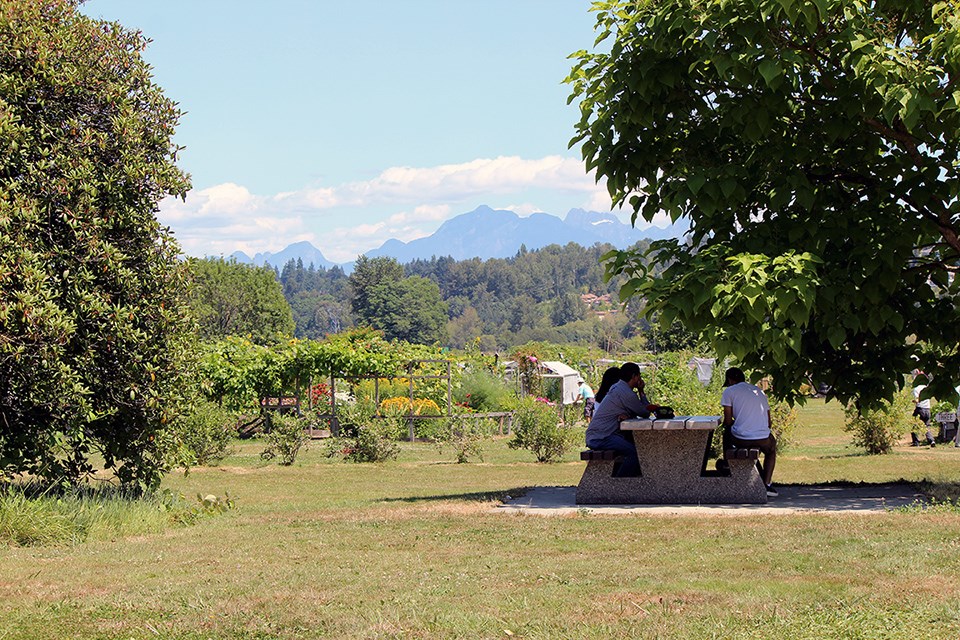 Colony Farm Community Gardens are located inside the Coquitlam regional park with 280 members and dozens more waiting for a plot.