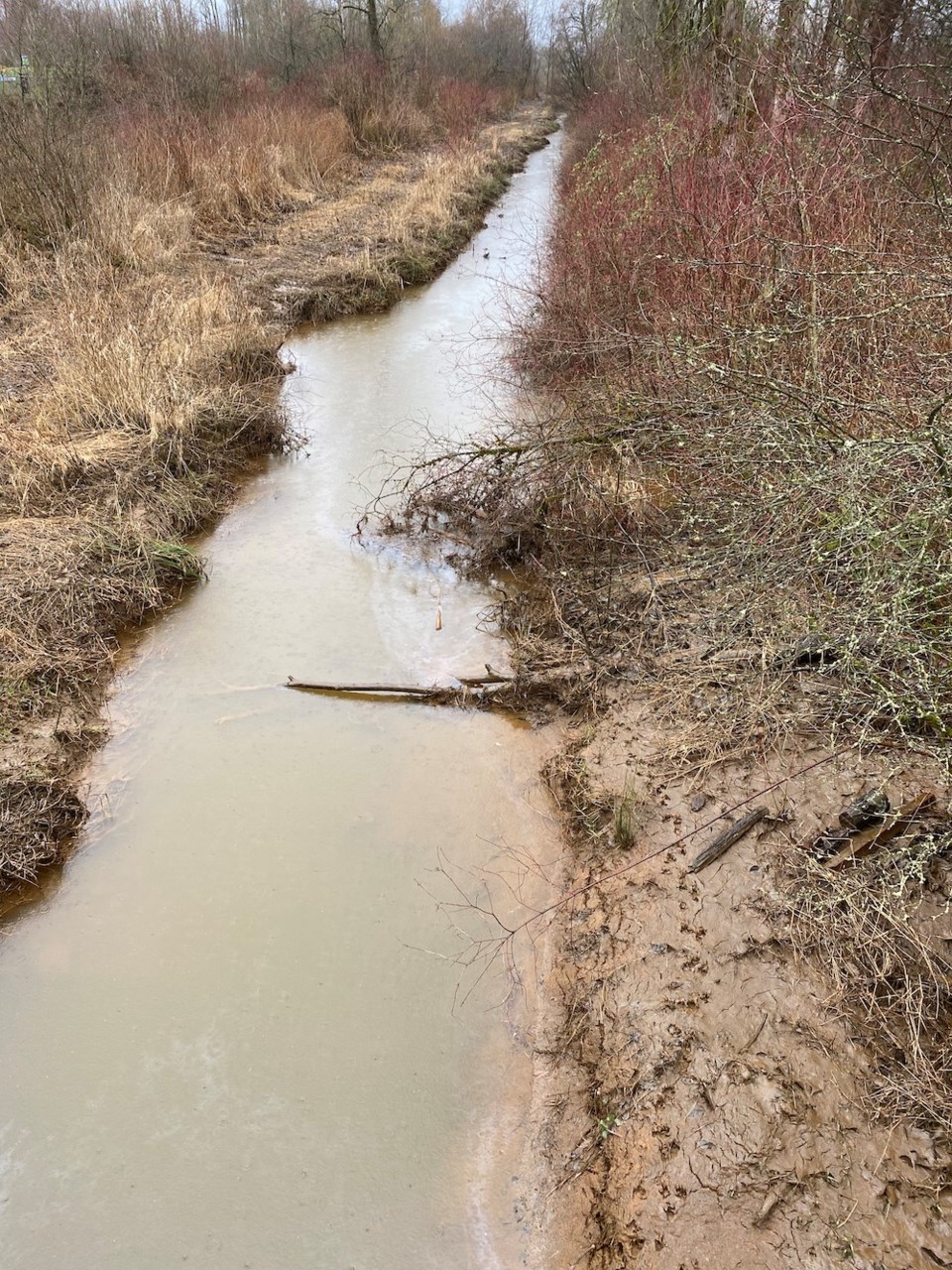 fuel-spill-in-port-coquitlam-watercourse-taken-feb-9-by-diane-strandberg