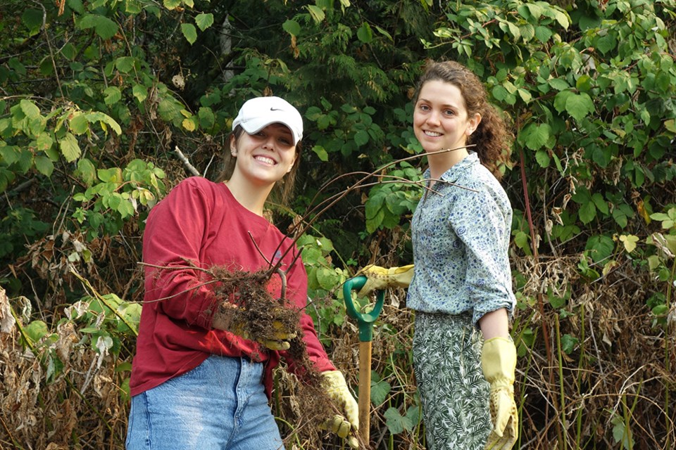 Nearly 70 volunteers joined the Lower Mainland Green Team to help remove species of invasive blackberry plants on Coquitlam's Burke Mountain on Sept. 10 and 11, 2022.