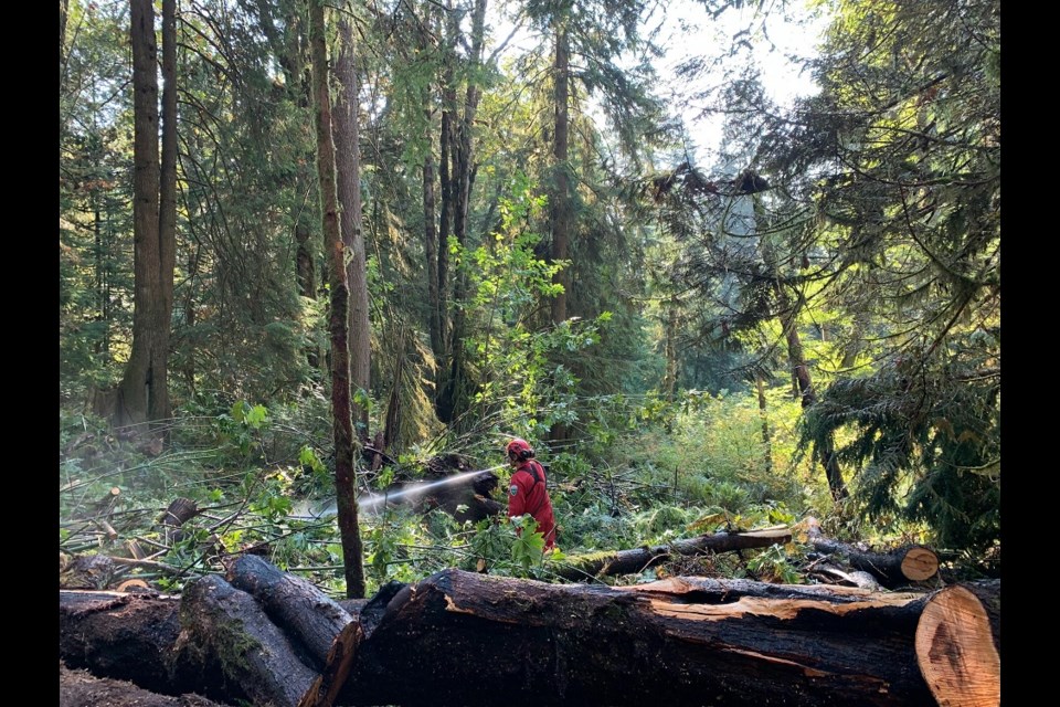 Metro Vancouver (MVRD) says a 14-hectare wildfire in Coquitlam's Minnekhada Regional Park is now under control after 48 hours of containment efforts.
