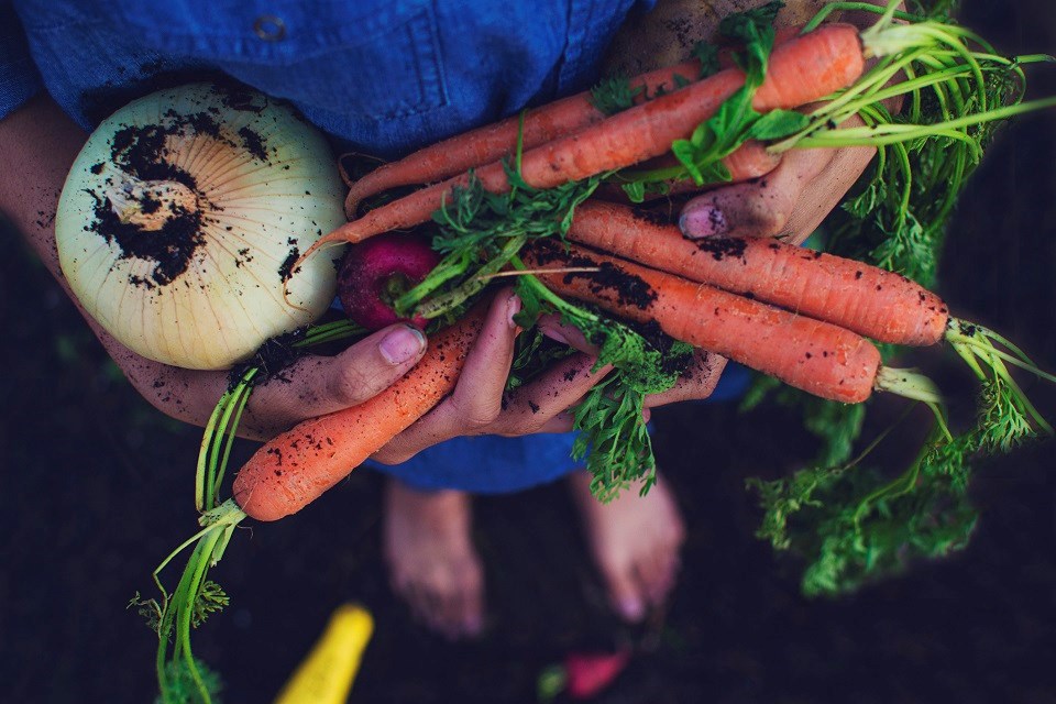 Vegetable garden youth food growing - Getty Images