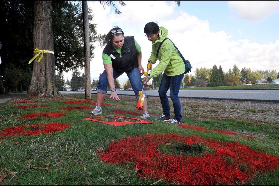 You can paint a poppy at Blue Mountain Park in Coquitlam. Several dates and times are available and supplies are provided.