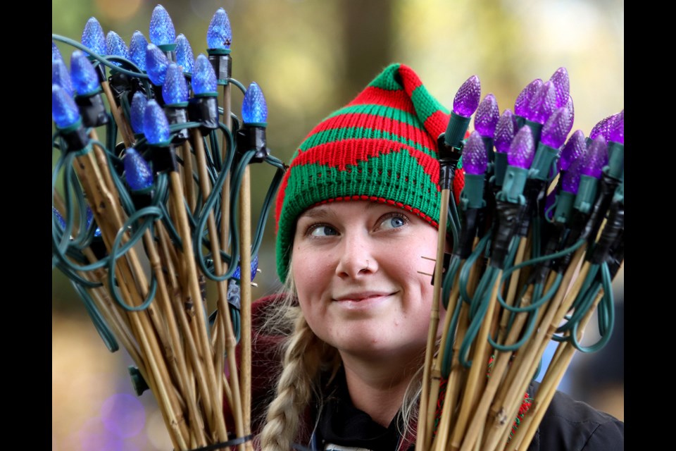 Shanaya Smith sorts bouquets of coloured lights while helping to set up the annual Lights at Lafarge display in Coquitlam's Town Centre Park.