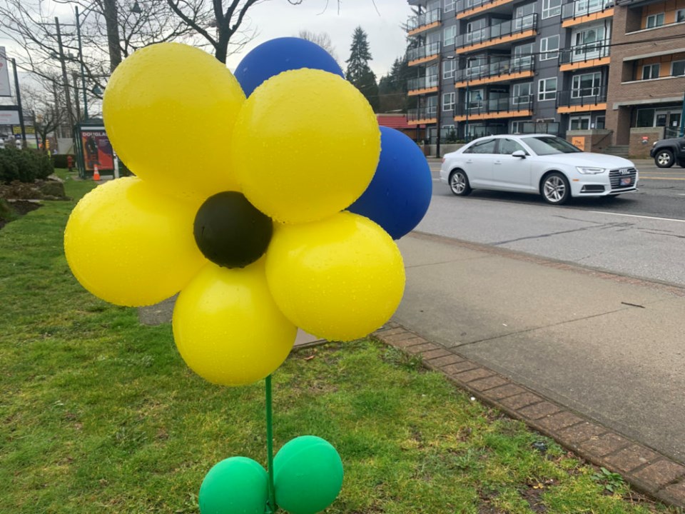 0324-BalloonFlower 1w