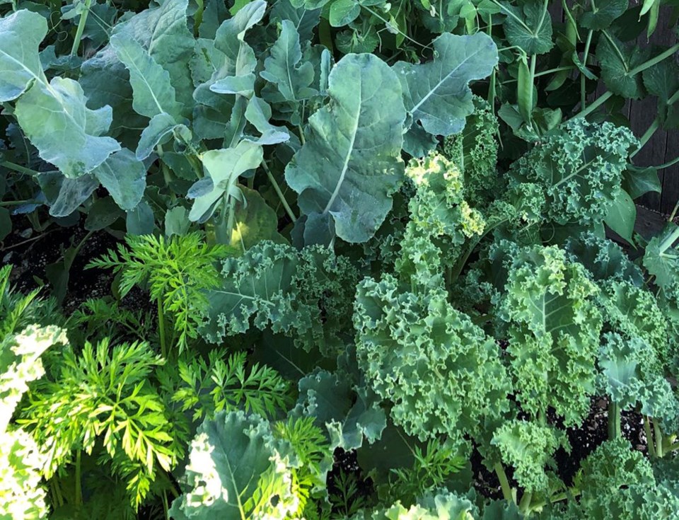 brianminterhomegardenjune2024