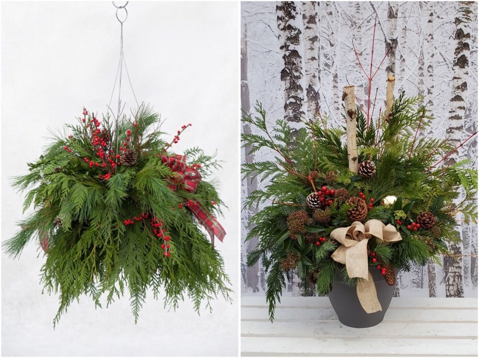 brianminterwinterplantgreensdecorpot2023