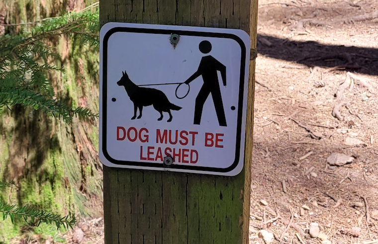 A Coquitlam man wants more signs reminding dog owners to leash up their pets. He says he was attacked by several dogs on a trail near Westwood Plateau.