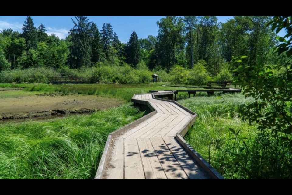 Port Moody's Shoreline Trail and Park.