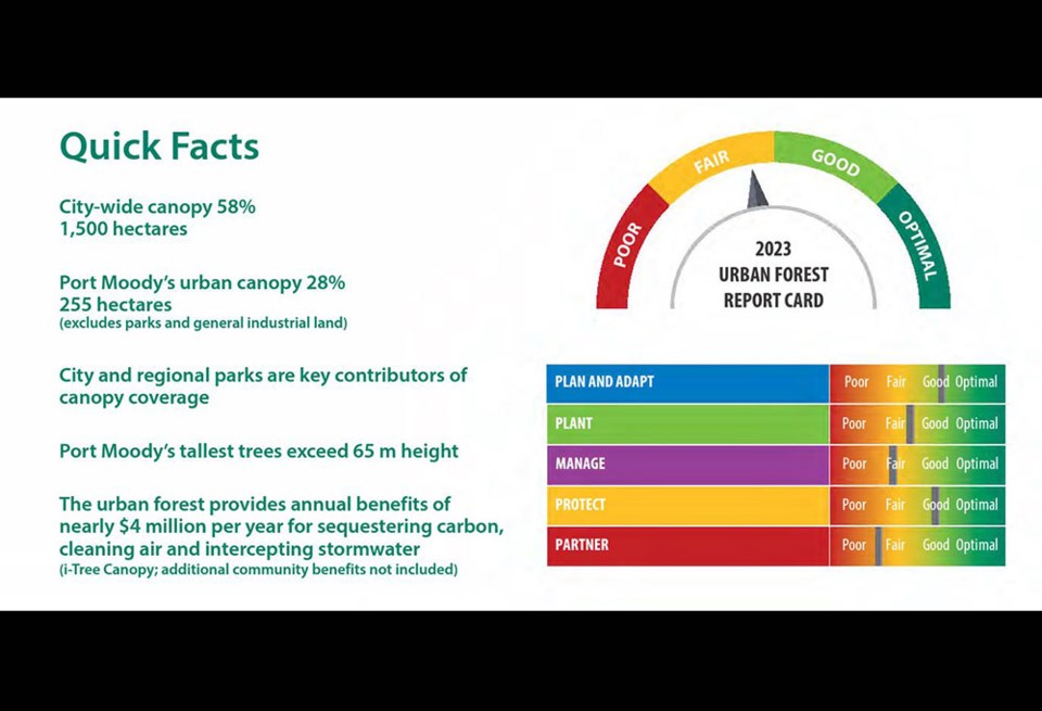 portmoodytreesurbanforestdraftplanquickfacts2023