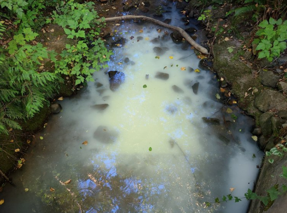 Summer 2022 paint spill in Hoy Creek Coquitlam