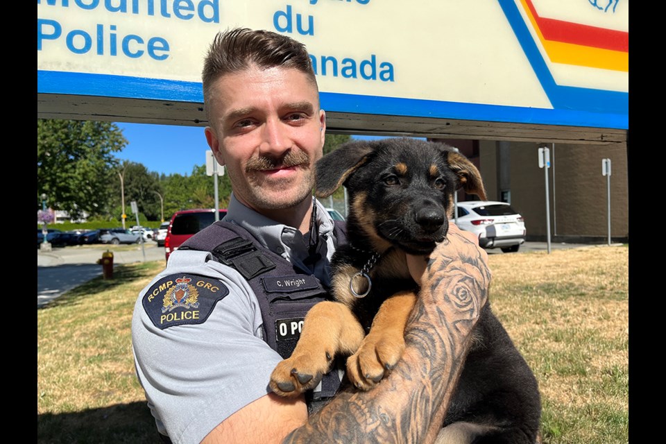 Radon, a 10-week-old pure bred German Shepherd, is Coquitlam RCMP's newest potential police dog service trainee, as of Aug. 16, 2022. Const. Wright will be his trainer and caretaker.