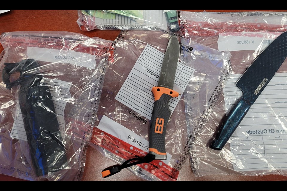 Several knives were seized early last Saturday, Dec. 9, after Port Moody police attended a fight between multiple people in the lower part of the city's Heritage Woods neighbourhood.