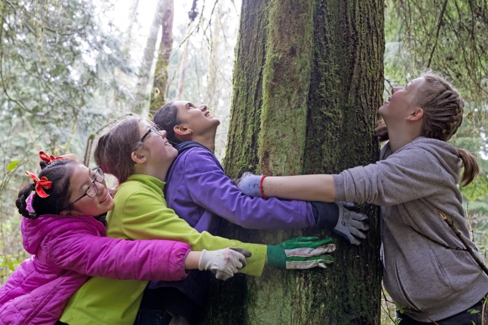 The City plans to help maintain a healthy tree canopy by planting 10,000 trees this year.