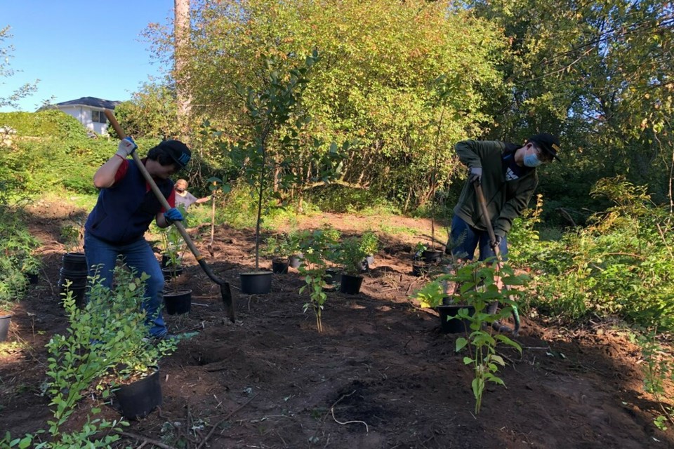 The Tree Spree initiative includes public education, giveaways and community events.