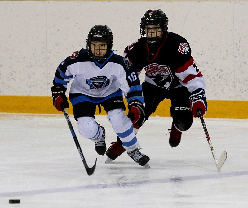 0217-PoMoHockeyShutdownFile 1w