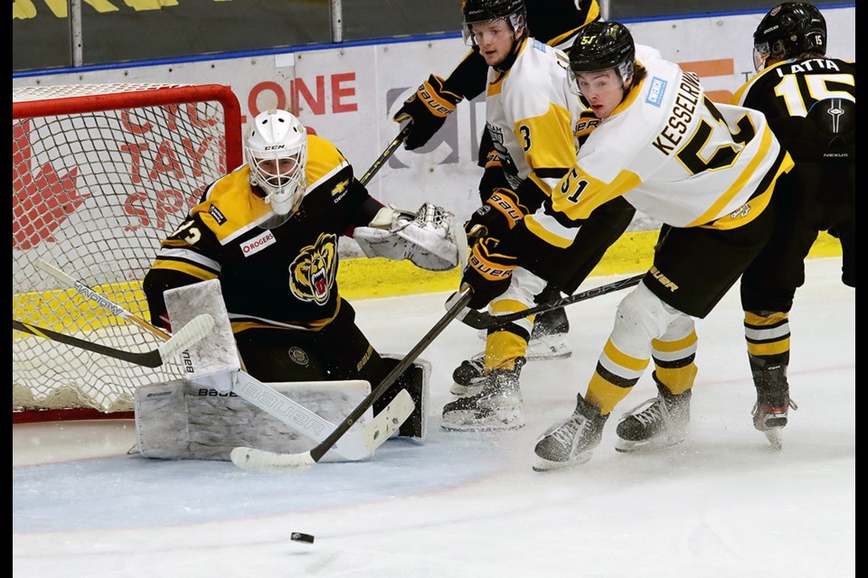 Coquitlam Express forward Mason Kesselring digs for a rebound during a scramble in front of Victoria Grizzlies goalie Kyle Kelsey in the first periof of their BC Hockey League first round playoff game, Tuesday at the Poirier Sport and Leisure Complex.