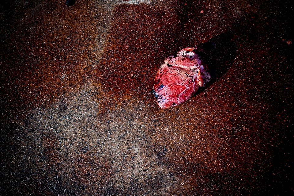 human-heart-on-road-pavement-renphoto-getty-images