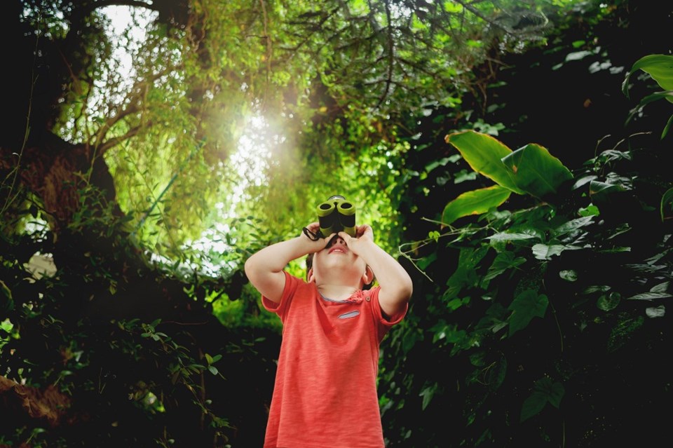 Kids summer camp - Getty Images