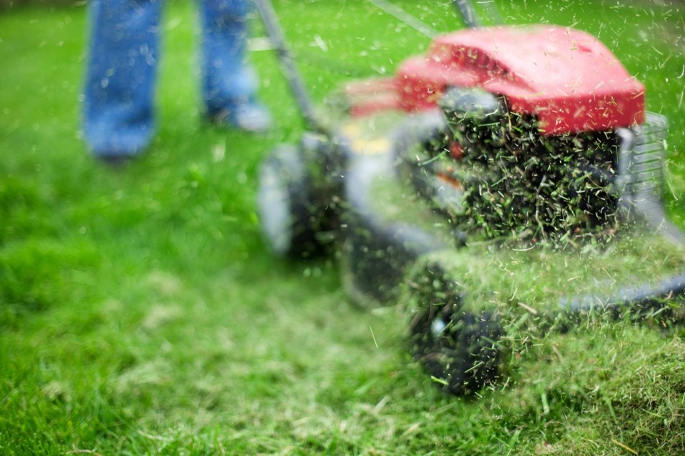 Lawn mower grass yard trimmings - Getty Images