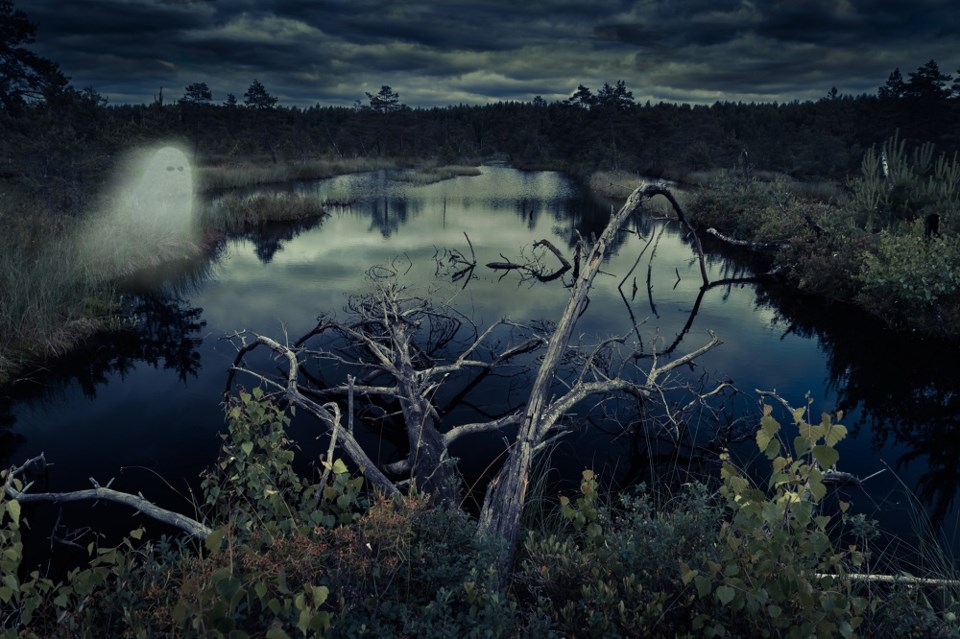 souls-of-the-mire-swamp-night-spooky-scaliger-getty-images
