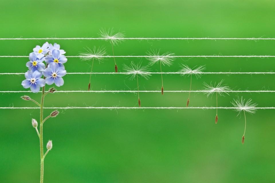 spring-music-notes-getty-images