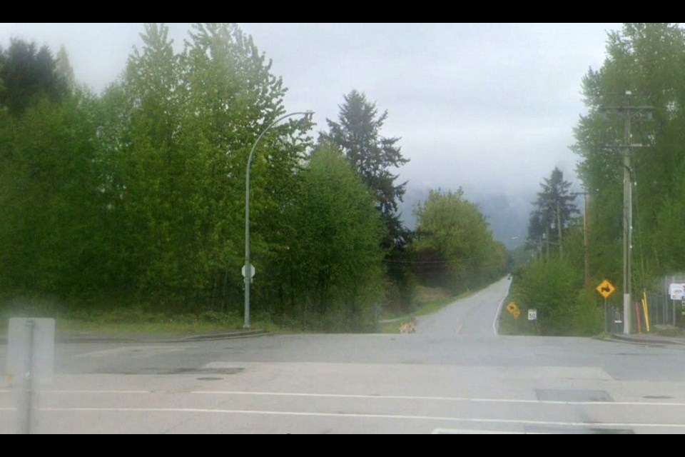 Work is underway to replace a culvert on Burns Road at Dominion Avenue in Port Coquitlam.