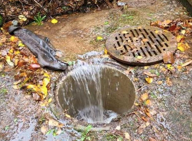 Water pours down storm drain