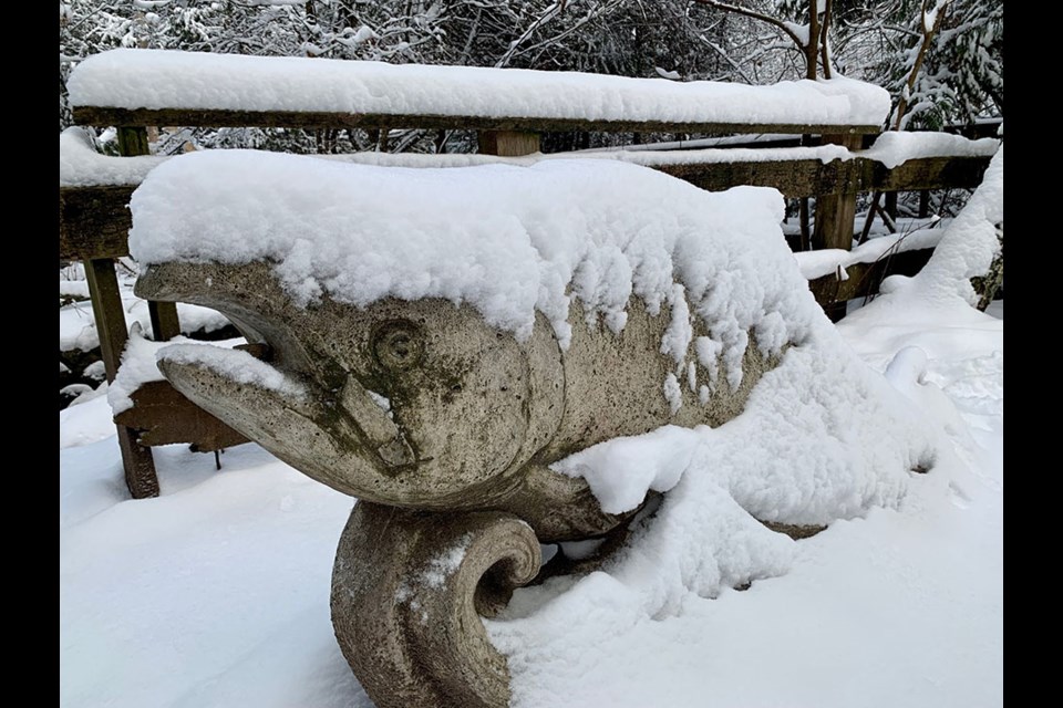 The Tri-Cities were hit with rapid overnight snowfall on Dec. 30, 2021, especially in Coquitlam's city centre neighbourhood and its local trails.