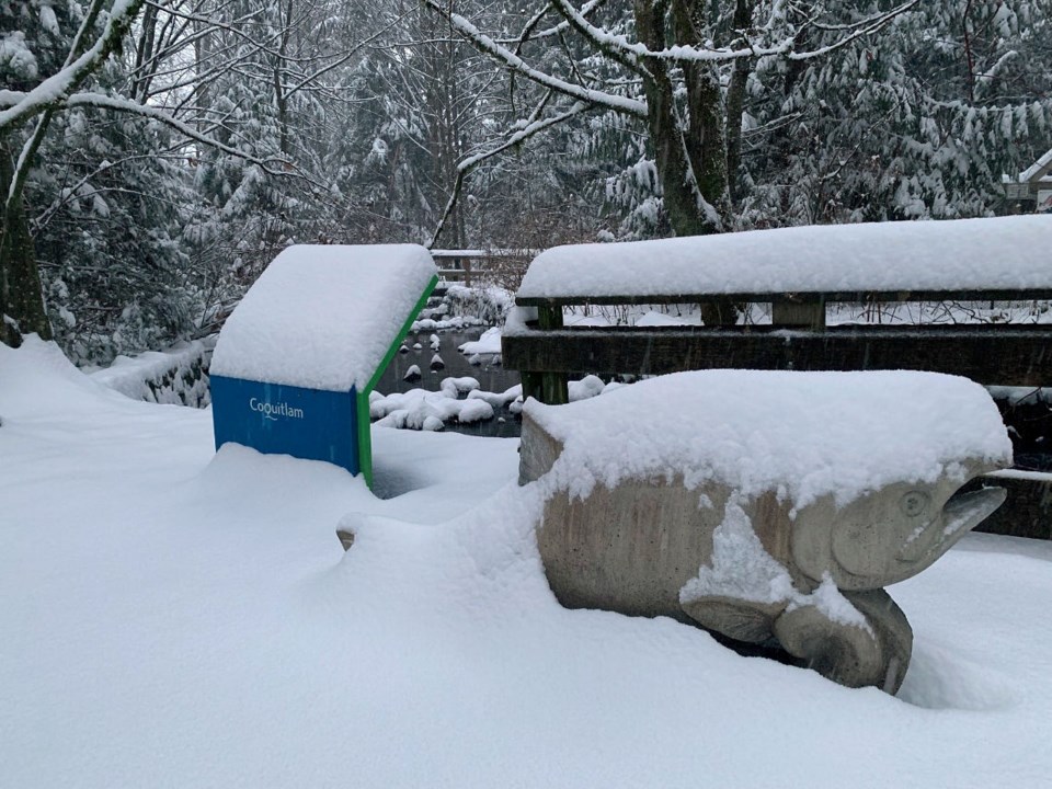 tcn-20240118-snow-day-redux-1w