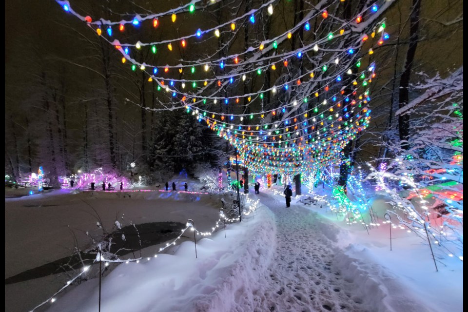 Winter wonderland at Lafarge Lake