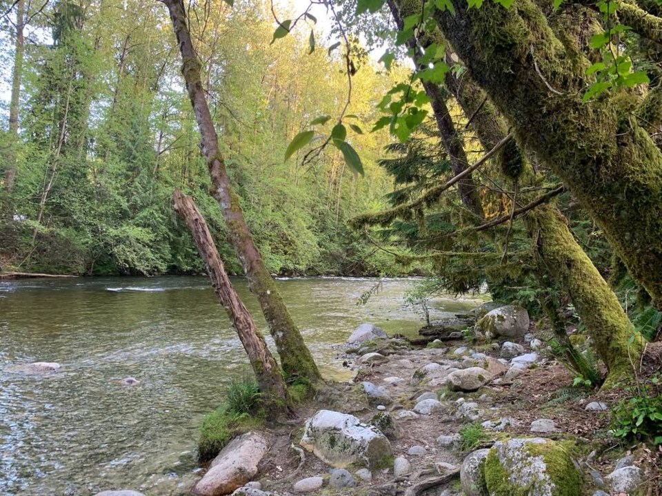 web1_tcn-20230518-coquitlam-river-in-spring