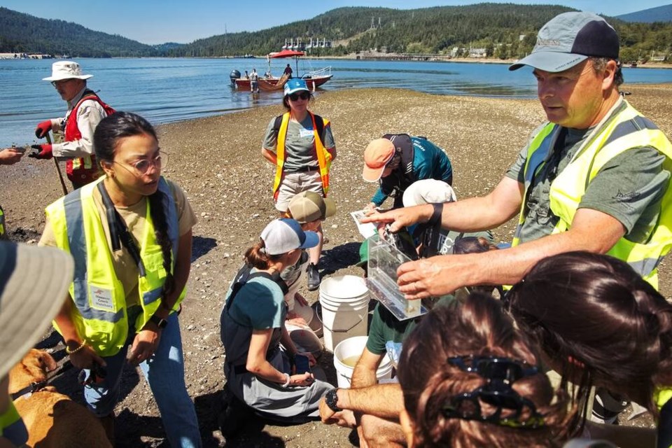 Dr. John Reynolds identifies fish during a beach seine in Mossom estuary on Saturday, June 3, during a community BioBlitz. Paul Steeves photo 