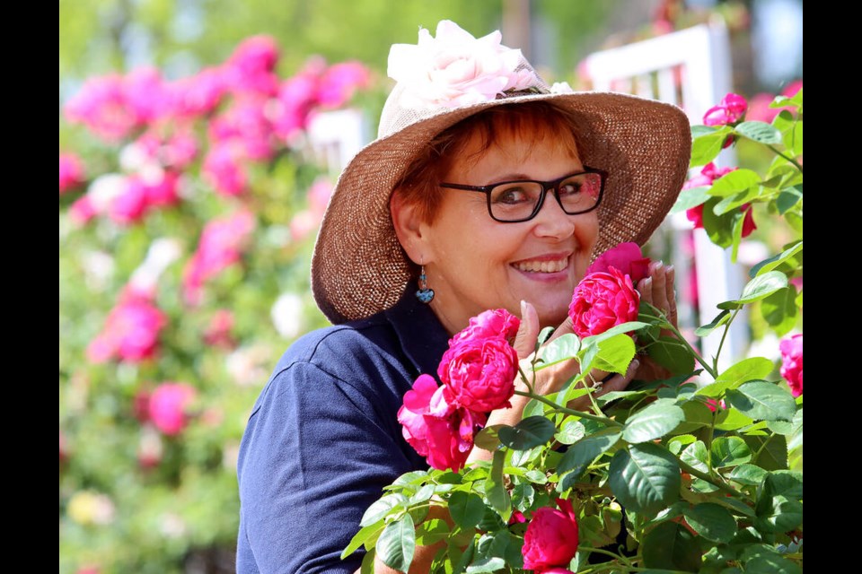 Theresa Krause, of the Fraser Pacific Rose Society, enjoys an ascot rose in the gardens behind the Dogwood Centennial Pavilion in Coquitlam. The society is hosting its annual rose show and competition on June 24 and 25. | Mario Bartel, Tri-City News 