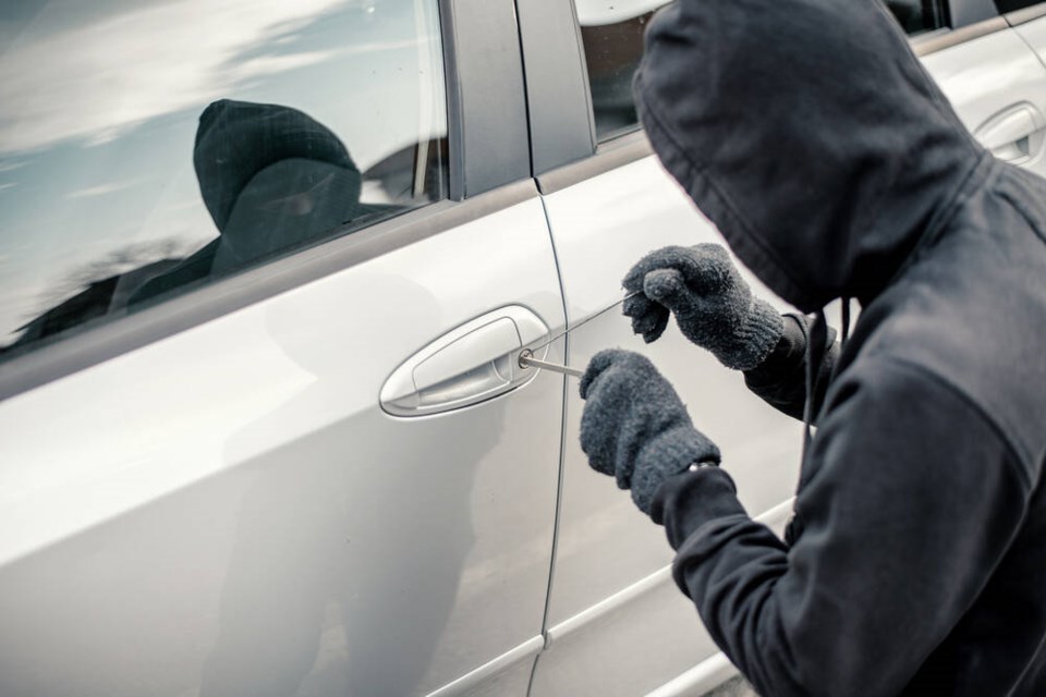 web1_tcn-20230619-theft-from-car