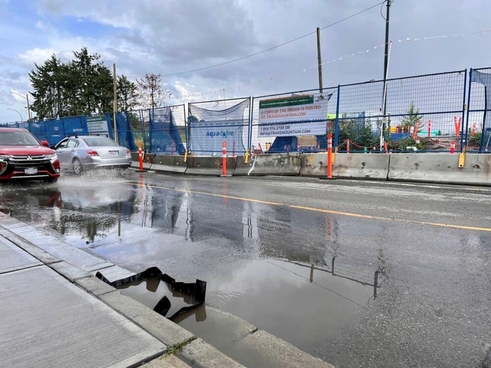 web1_tcn-20230619-united-boulevard-dip-protect-the-planet-photo