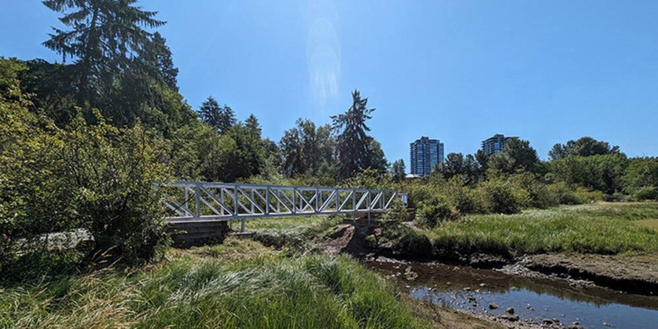 web1_tcn-20230705-shoreline-trail-bridge-1