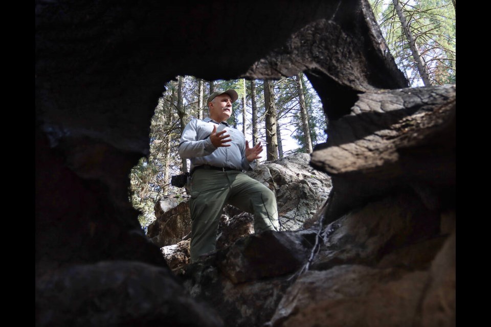 MARIO BARTEL/TRI-CITY NEWS Markus Merkens, a natural resource management specialist for Metro Vancouver, is framed by a burned out tree stump as he. explains the regneration of vegetation on the High Knoll in Minnekhada Regional Park since a wildfire last fall torched about 14 hectares. 