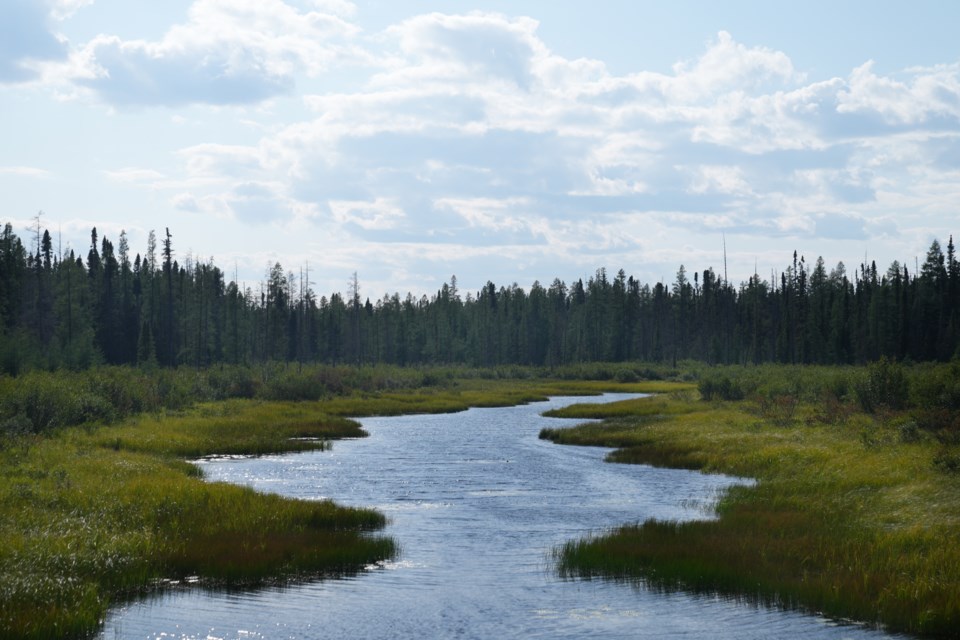 cp174545776