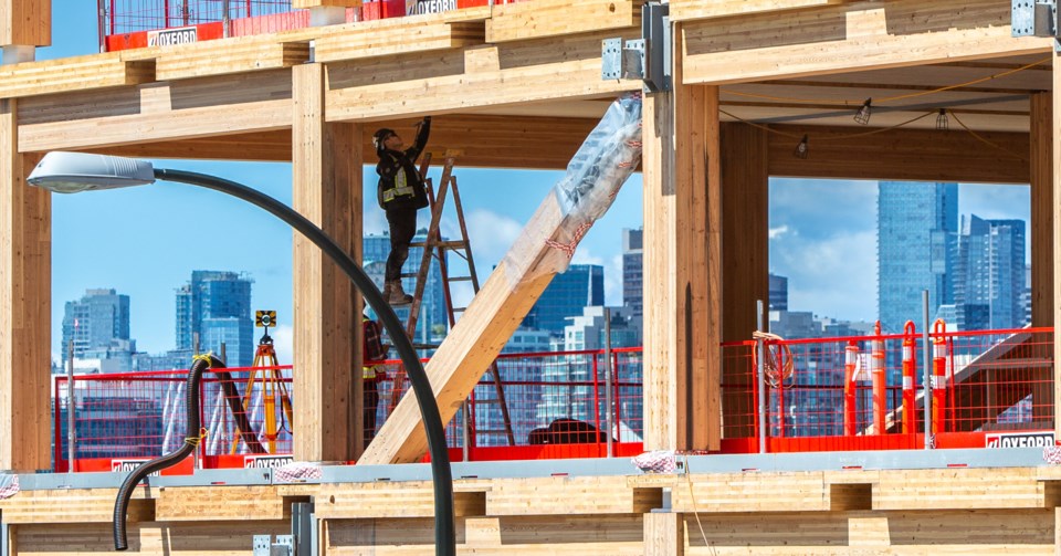 timberclimate