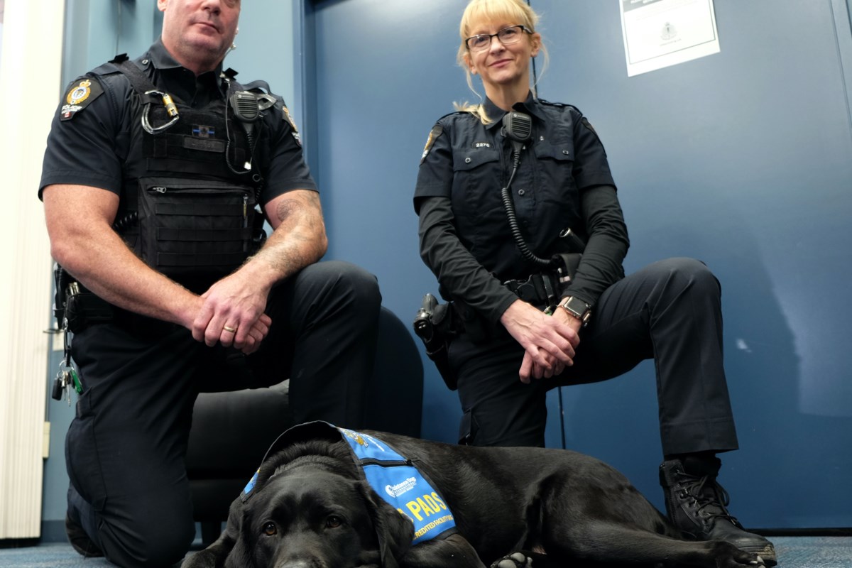 Zen the dog provides stress relief for Vancouver cops