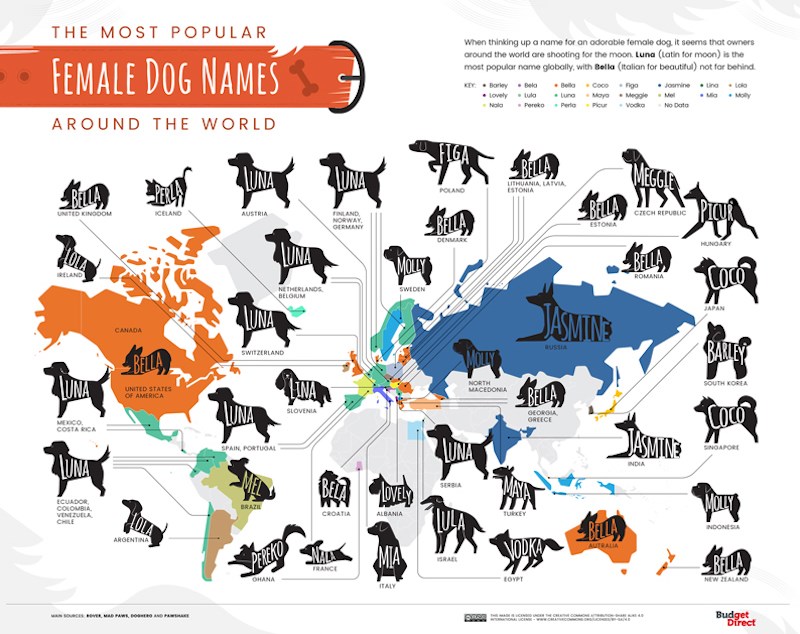 01-The-Most-Popular-Dog-Names-Around-the-World_Map-Female