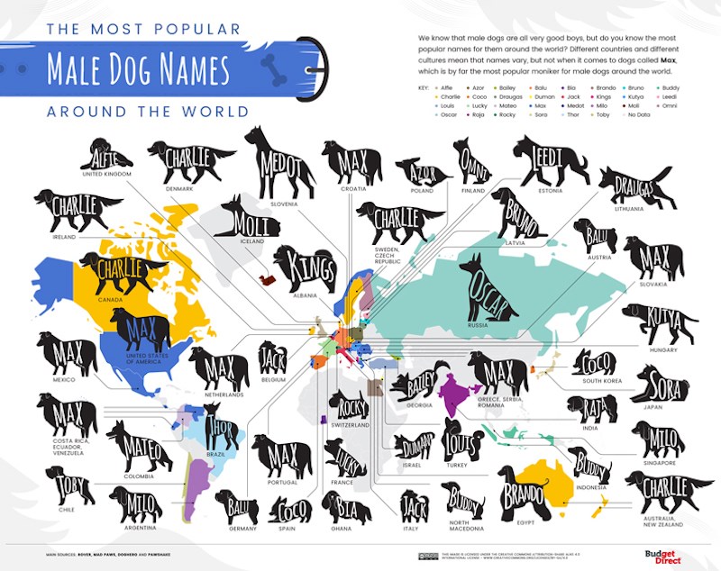 03-The-Most-Popular-Dog-Names-Around-the-World_Map-Male