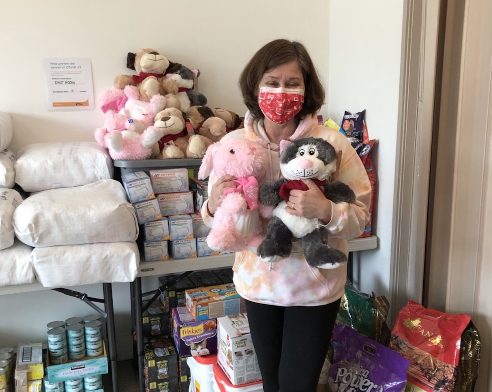 Spca Receives 0 Stuffed Toys For Vancouver Dogs And Cats In Need Vancouver Is Awesome