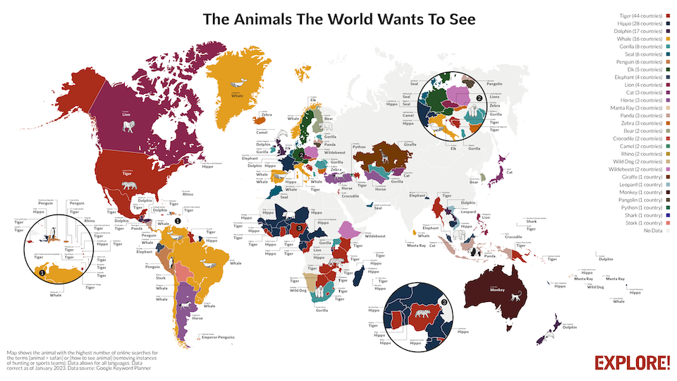 animals-the-world-wants-to-seejpg